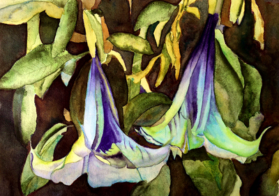 imaginary datura, painted in watercolor, floral