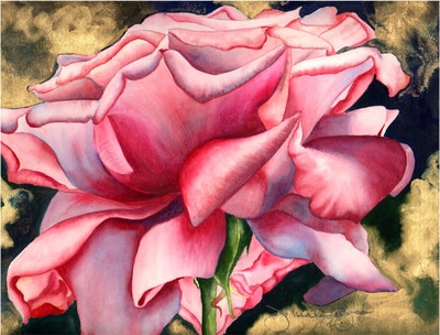 pink rose painted in watercolor, gold gouache in background, floral