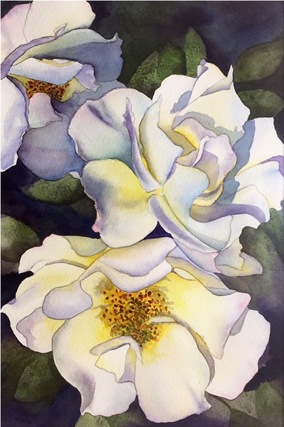 white roses, watercolor, soft petals, floral