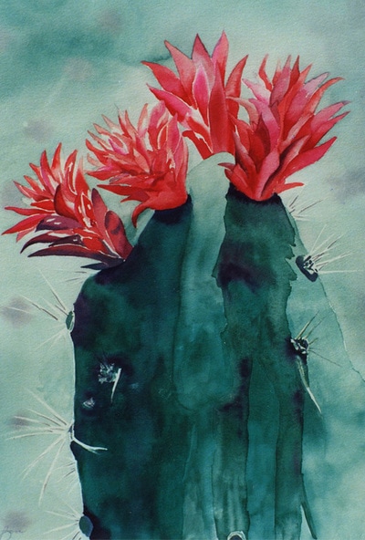 cactus in bloom, red cactus bloom, watercolor, floral, prickly cactus