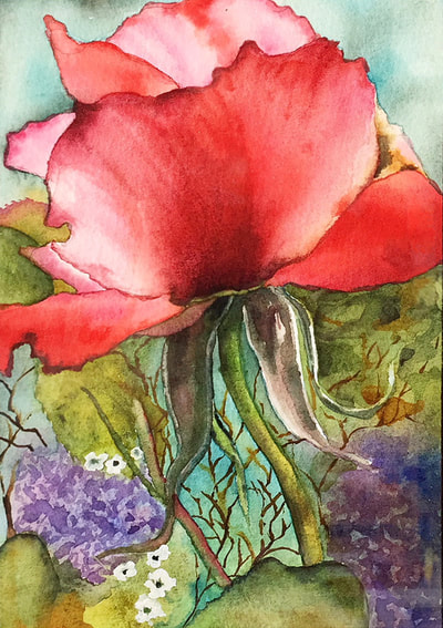 double delight rose, red and white rose, watercolor, floral
