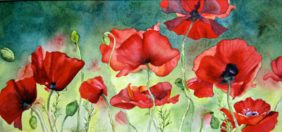 red poppies, wildflowers, floral, watercolor