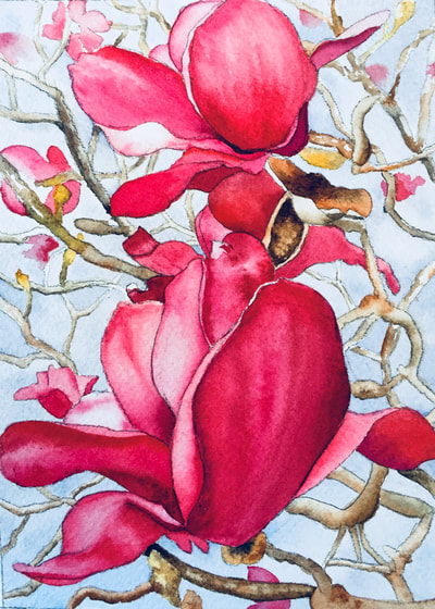 pink magnolia tree, magnolia blossoms, watercolor, floral