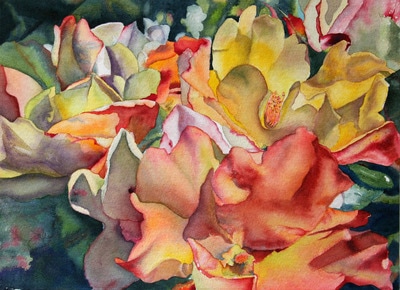multi colored roses that change color as they age, floral, watercolor