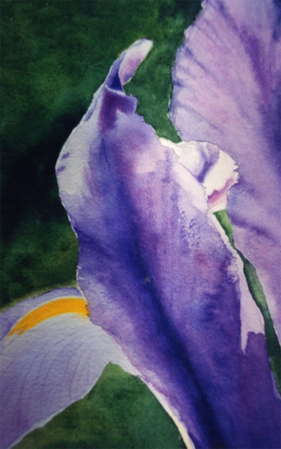 purple iris, watercolor, floral, contrasting background