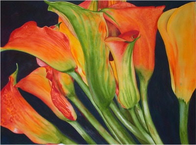 rust colored calla lilies, yellow and orange calla lilies, watercolor, floral
