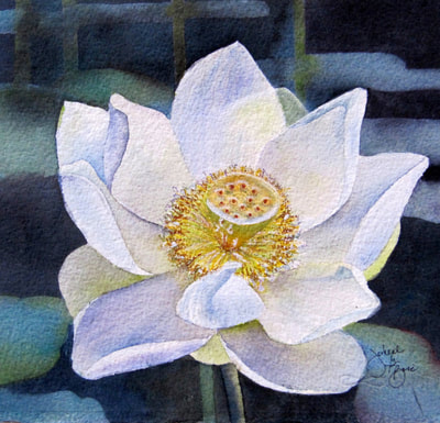 white lotus blossom, watercolor, floral, 