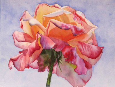 pink and yellow rose, floral painted in watercolor