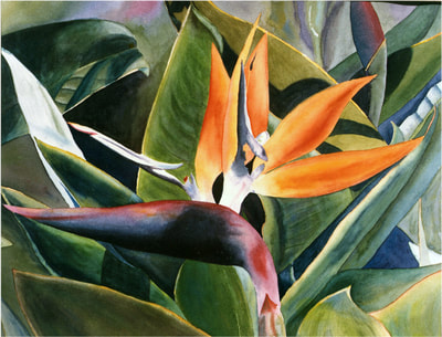 bird of paradise, watercolor, floral