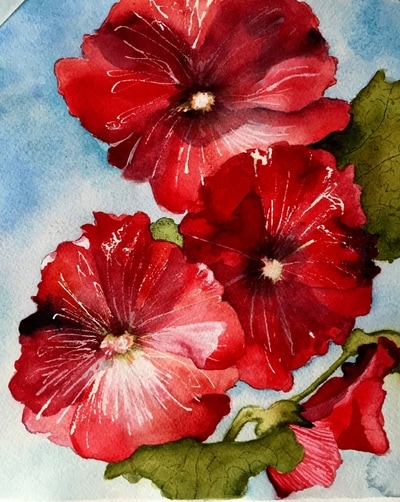 red hollyhocks painted in watercolor, floral
