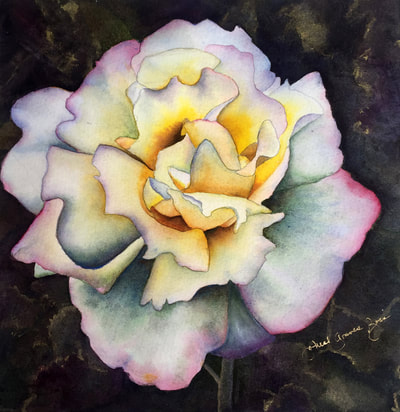 peace rose, watercolor, floral, contrasting background with gold