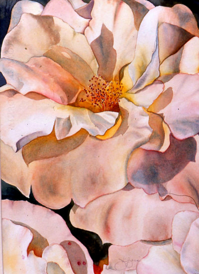 peach colored tea hybrid, floral, watercolor