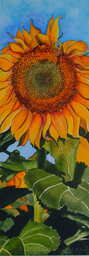 yellow sunflower, watercolor, close up, floral