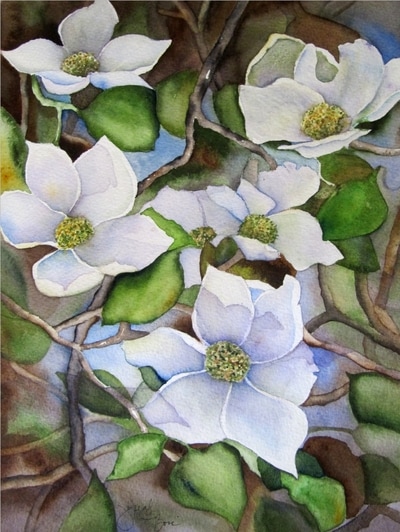 Yosemite white dogwood, painted loosely in watercolor, floral