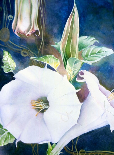 trumpet vines, white trumpet flowers, watercolor, floral