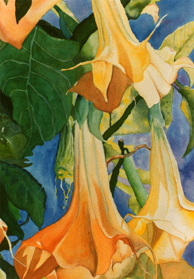 yellow datura, yellow flowers, watercolor, floral, trumpet flowers